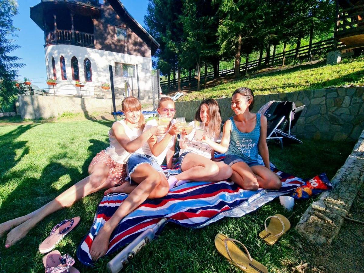 Willa Conacul Secaria Zewnętrze zdjęcie