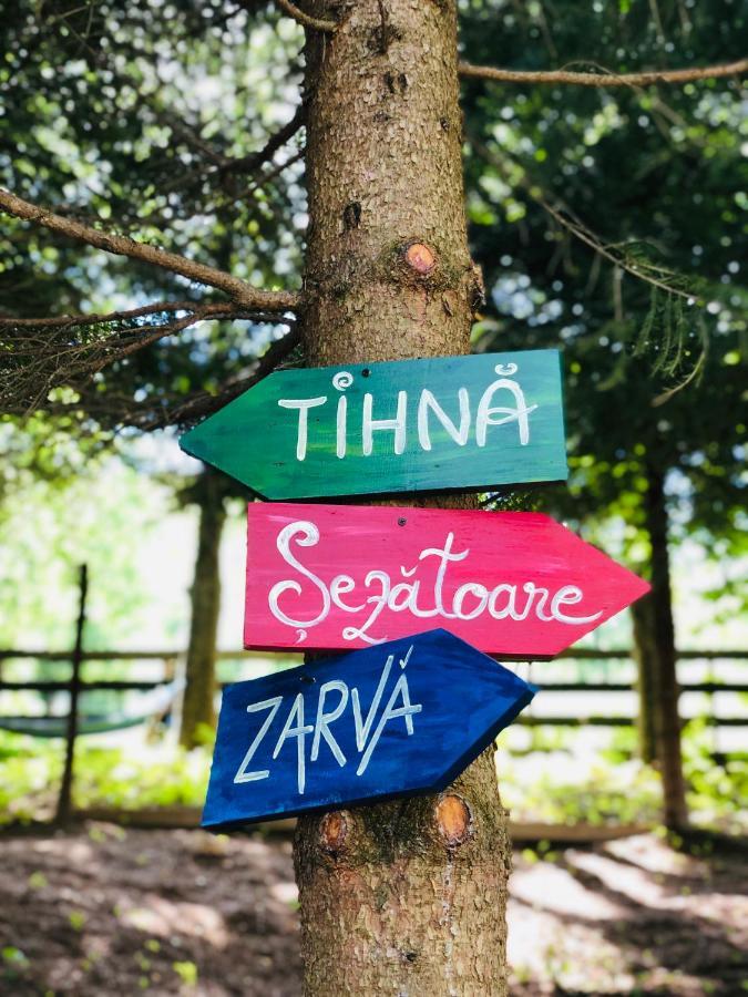 Willa Conacul Secaria Zewnętrze zdjęcie
